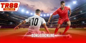 Bóng đá online