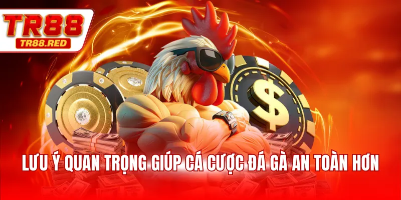 Lưu ý quan trọng giúp cá cược đá gà an toàn hơn